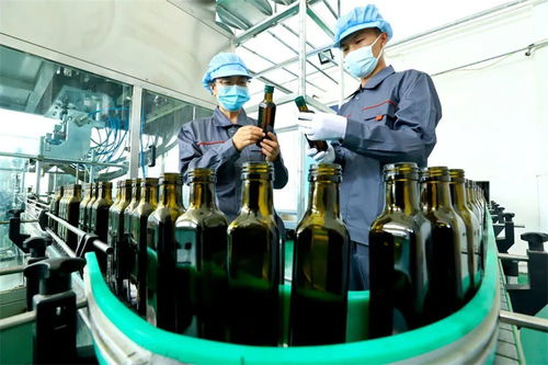 從初加工到精深加工 張掖高臺食用保健油的粵閩商機(jī)