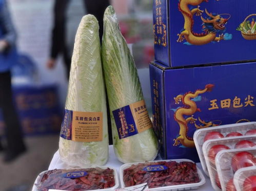 京冀合作再添51家環(huán)京蔬菜生產(chǎn)基地 深化食用農(nóng)產(chǎn)品初加工布局