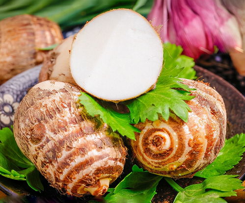 5G優選 賦能食用農產品初加工，為農戶開啟高效賣貨新通路