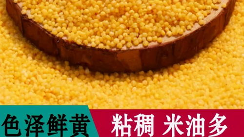 方山縣積翠鄉 消費扶貧月綠色農產品展銷與網絡認購活動助力農產品初加工升級