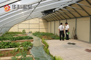 三門峽陽光板溫室大棚 創新設計與專業安裝一體化服務，引領現代農業新篇章