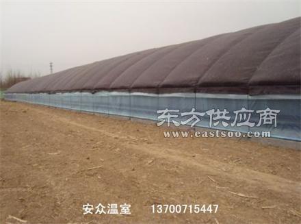 溫室大棚技術解析與一站式服務實踐——以吉林安眾商貿為例