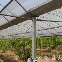 溫室大棚及安裝全解析 價格、批發渠道與廠家服務指南