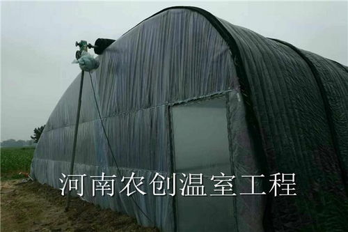 舞鋼日光溫室大棚造價(jià)與周到服務(wù)全面解析