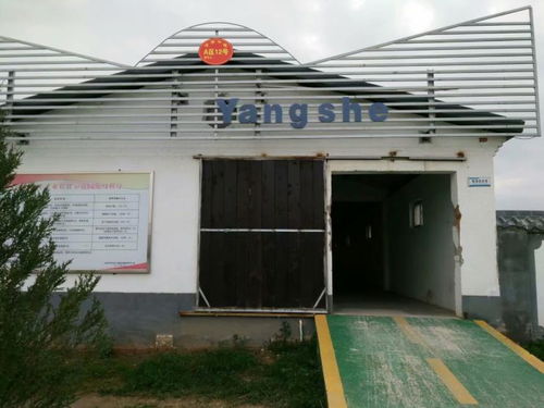 北京活動(dòng)房選擇指南 雅致彩鋼板、鋼架結(jié)構(gòu)與大棚安裝服務(wù)全解析