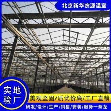 生態(tài)智能溫室大棚 新華農(nóng)源單拱薄膜連棟溫室的智慧與匠心